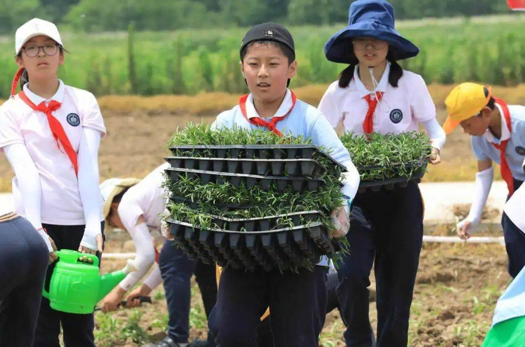 最新通知，事關全省中小學生！